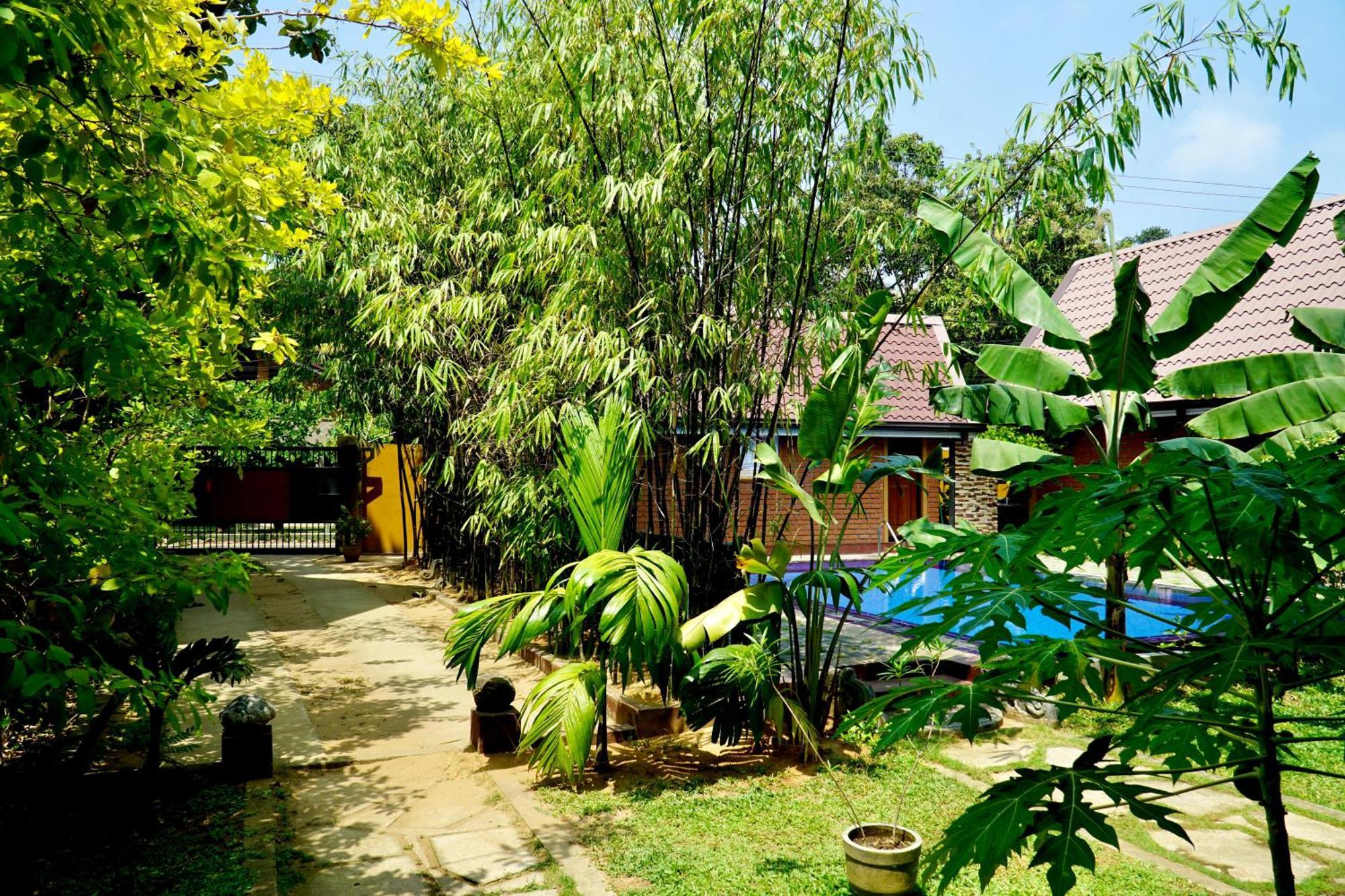Millet'S Food Company And Cooking Center Hotel Negombo Exterior photo